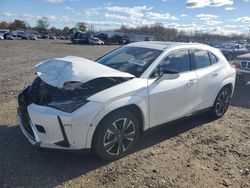 Lexus ux 250h pr salvage cars for sale: 2024 Lexus UX 250H Premium