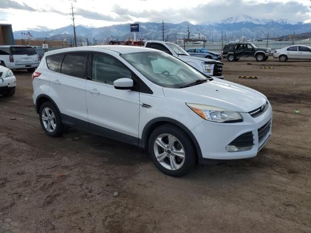 2013 Ford Escape SE