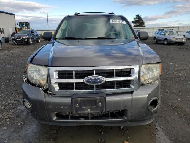 2010 Ford Escape XLT