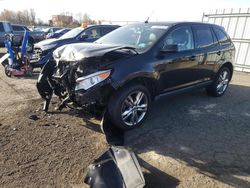 Ford Edge salvage cars for sale: 2013 Ford Edge SEL