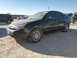 Ford Focus salvage cars for sale: 2009 Ford Focus SE