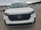 2023 Honda Pilot EXL