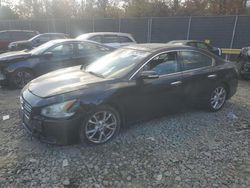 Nissan Maxima salvage cars for sale: 2014 Nissan Maxima S