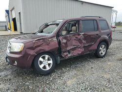 Honda Pilot salvage cars for sale: 2009 Honda Pilot EXL