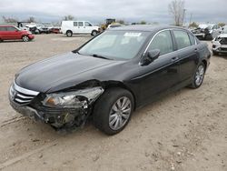 Honda Accord salvage cars for sale: 2011 Honda Accord EXL