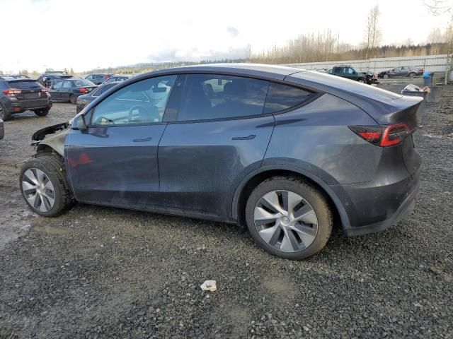 2020 Tesla Model Y