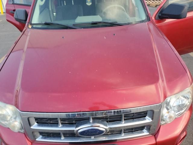 2009 Ford Escape xls