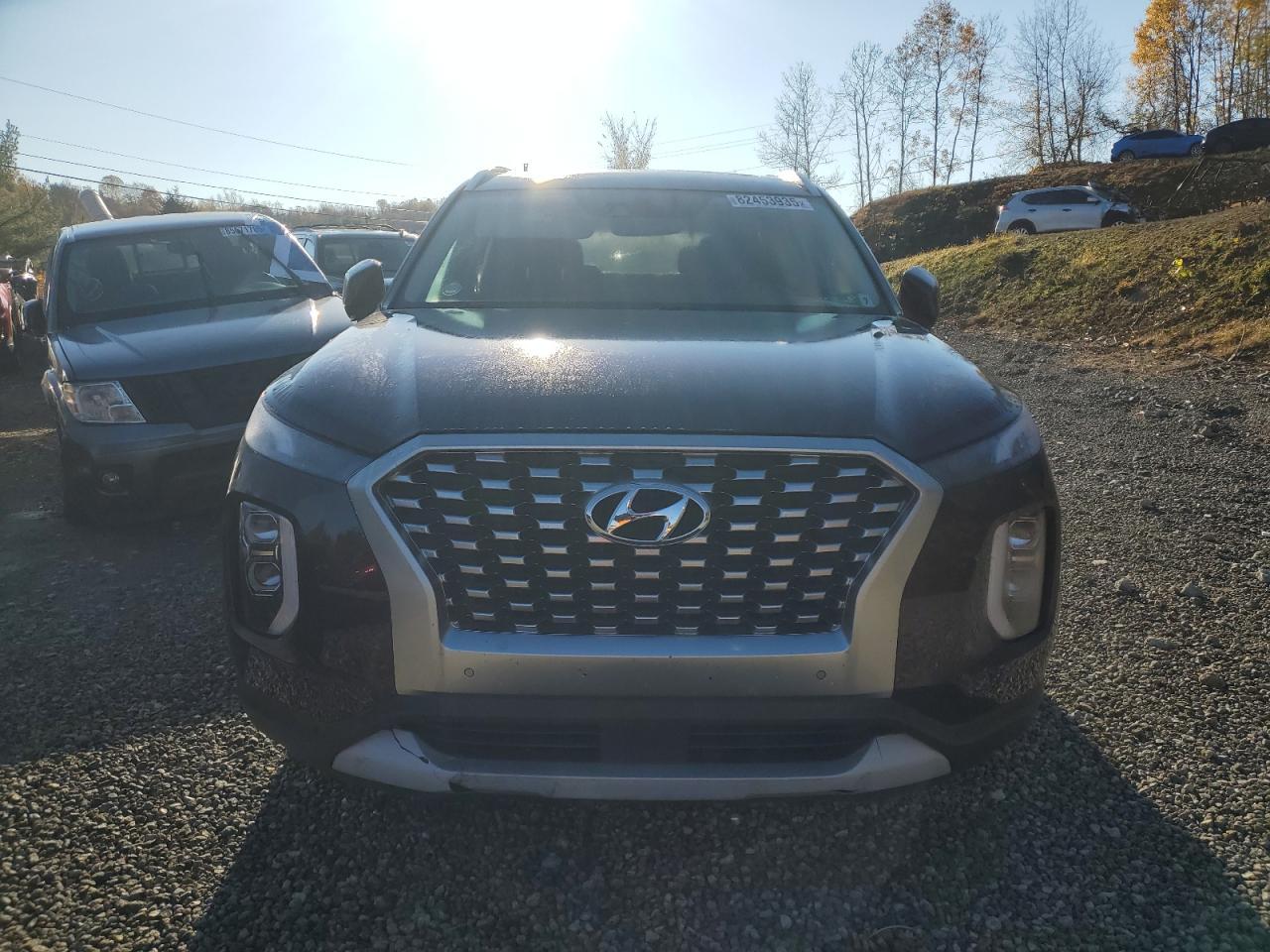 2021 Hyundai Palisade sel