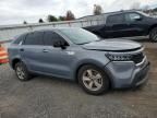 2023 KIA Sorento lx