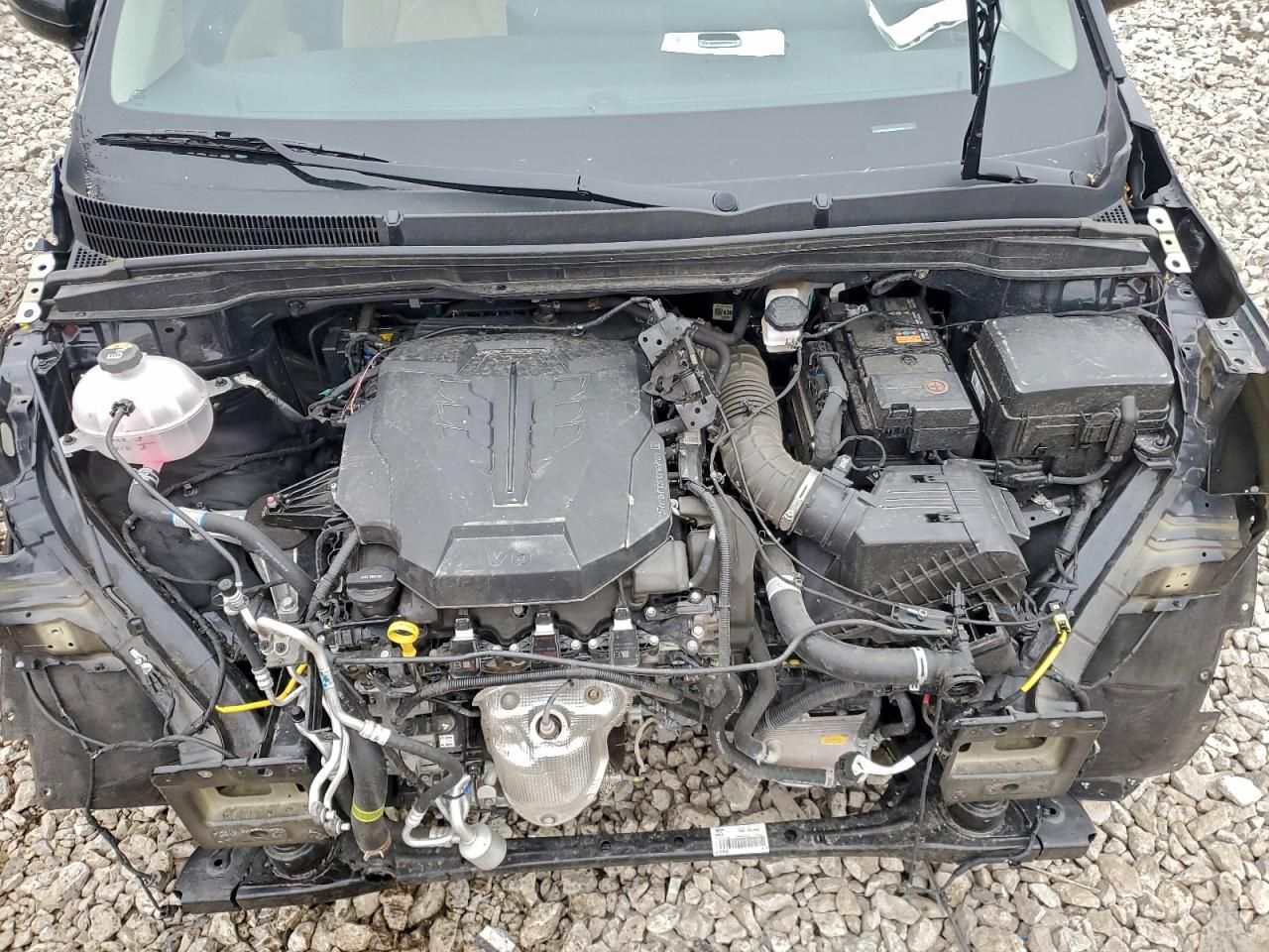 2024 KIA Carnival lx