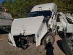 2025 Freightliner Cascadia 126 Semi Truck
