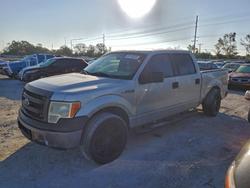 2014 Ford F150 Supercrew en venta en Riverview, FL