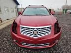 2013 Cadillac Srx Performance Collection
