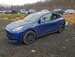 Tesla salvage cars for sale: 2021 Tesla Model y
