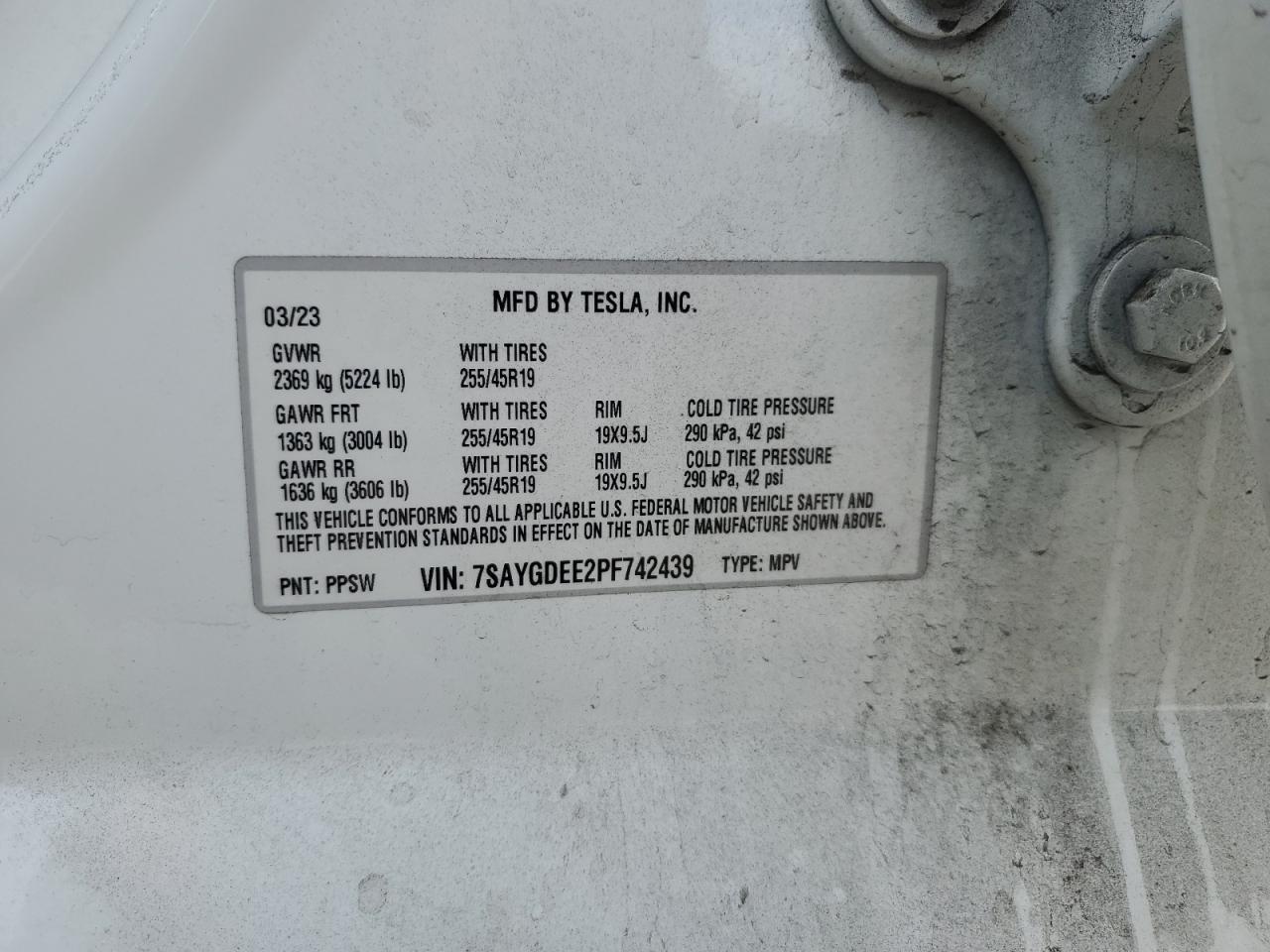 2023 Tesla Model y