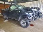 2009 Dodge RAM 1500