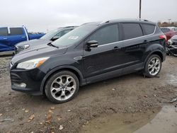 2014 Ford Escape Titanium for sale in Indianapolis, IN