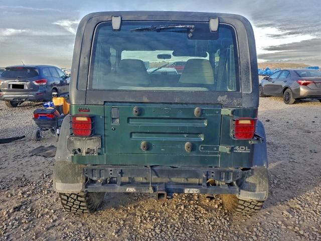 1994 Jeep Wrangler / yj se
