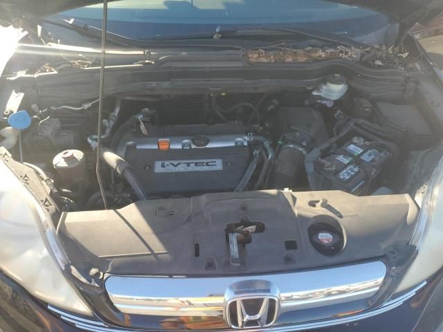 2007 Honda Cr-v exl