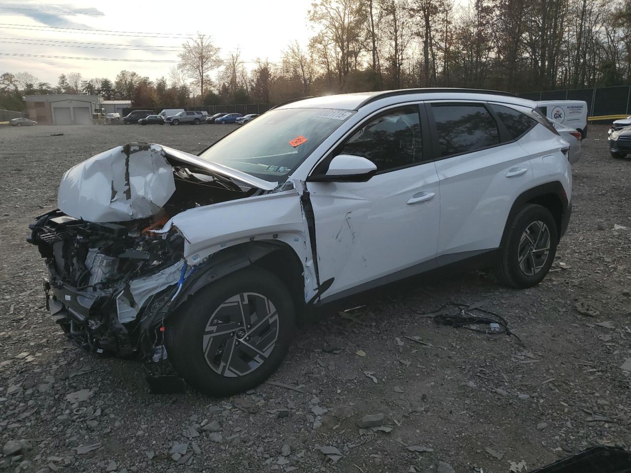 2025 Hyundai Tucson Blue