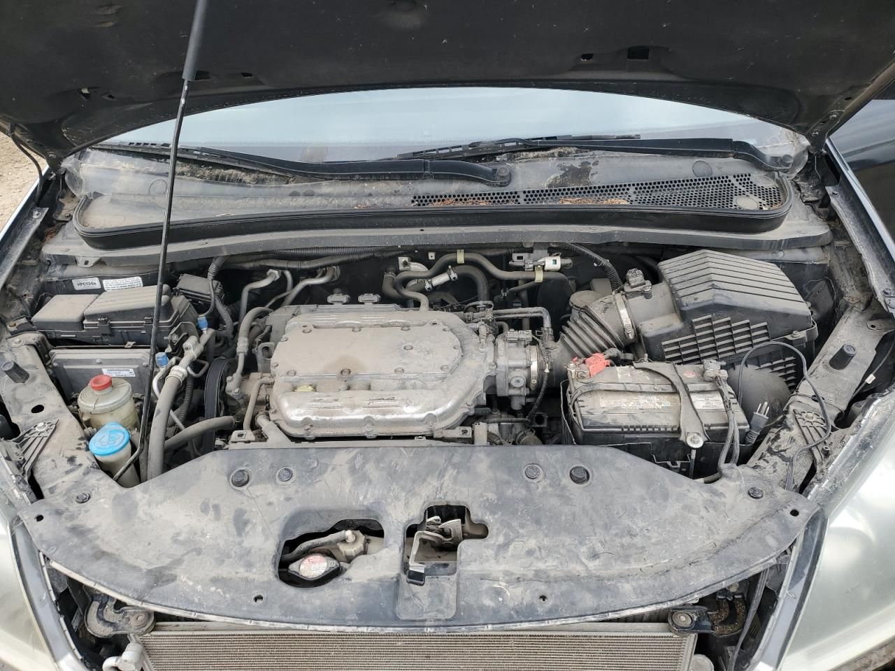 2010 Honda Odyssey Touring