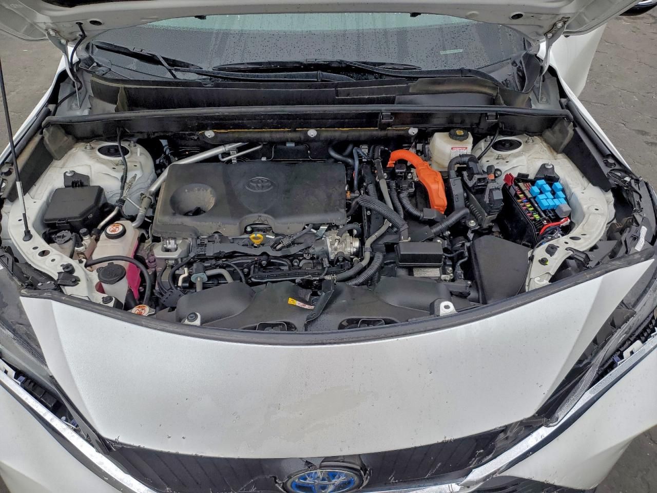 2024 Toyota Venza le