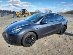 Salvage cars for sale from Copart Baltimore, MD: 2021 Tesla Model y