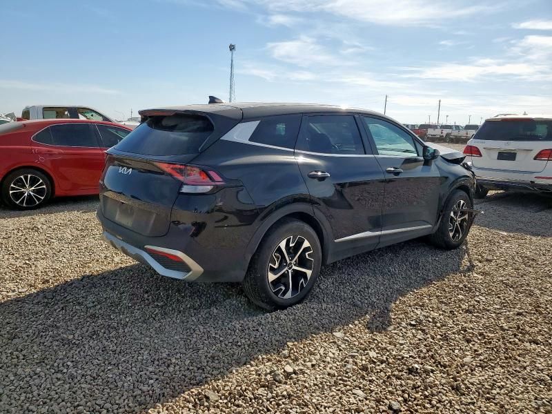 2024 KIA Sportage ex