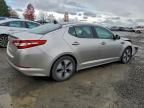 2013 KIA Optima Hybrid