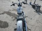 2025 Harley-Davidson Fxbb