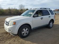 Ford salvage cars for sale: 2012 Ford Escape xlt