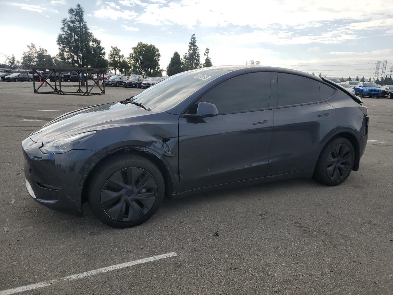 2025 Tesla Model y