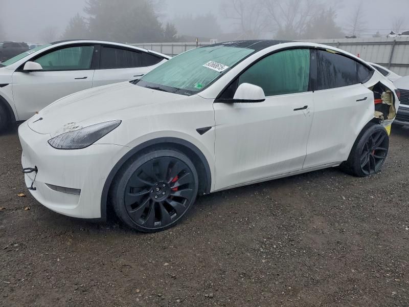 2022 Tesla Model y