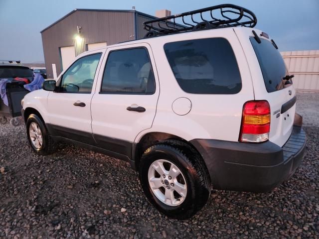 2007 Ford Escape xlt