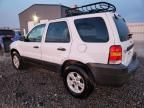 2007 Ford Escape xlt