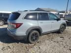 2022 Honda Pilot Trailsport