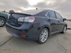 2010 Lexus Hs 250h