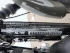 2019 Harley-Davidson XL883 N