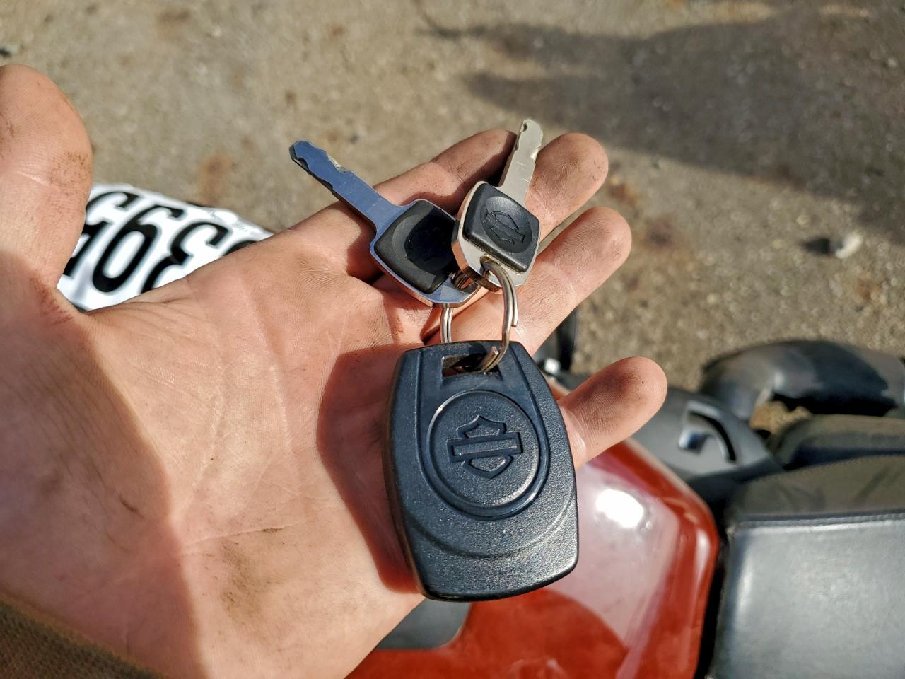 2024 Harley-Davidson RH975 S