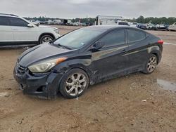 2013 Hyundai Elantra gls for sale in Houston, TX