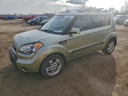 Vehiculos salvage en venta de Copart London, ON: 2011 KIA Soul +