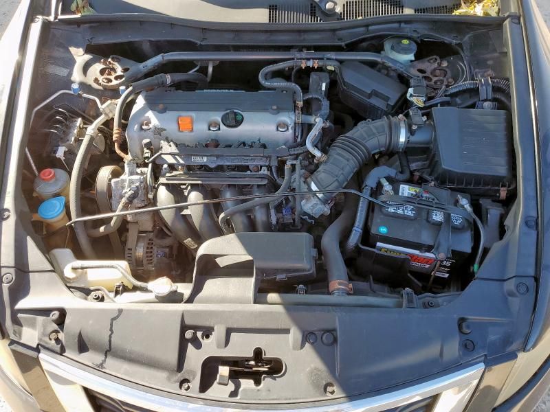 2010 Honda Accord exl