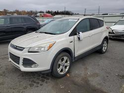 2014 Ford Escape se en venta en Pennsburg, PA