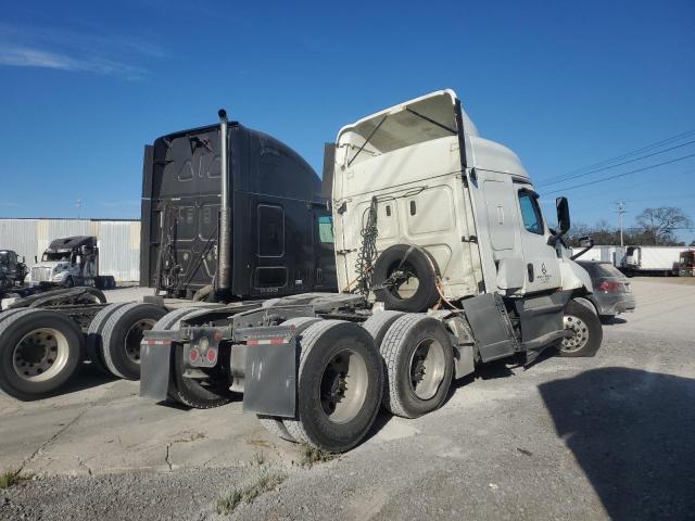 2019 Freightliner Cascadia 126