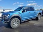 2019 Ford F150 Raptor