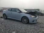 2011 Scion Tc Base