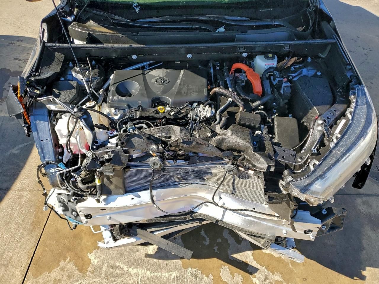 2025 Toyota Rav4 xse