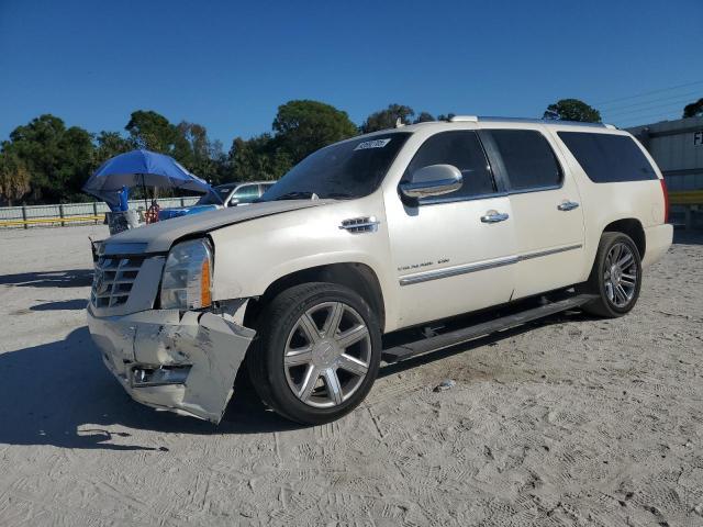2011 Cadillac Escalade esv Premium