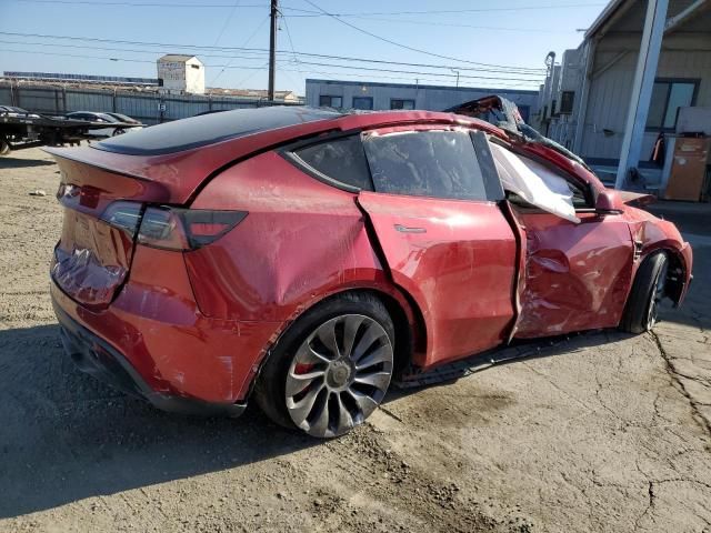 2025 Tesla Model y