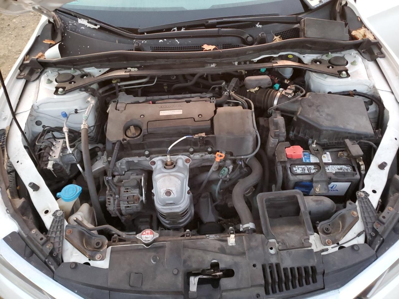 2017 Honda Accord Sport Special Edition